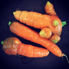 Mutant carrots.png
