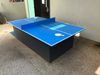 Outdoor table tennis table my students and I built