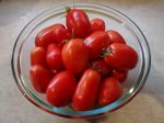 home-grown tomatoes